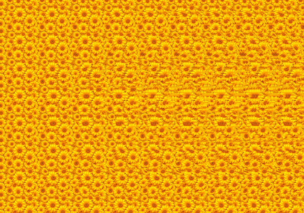 12ecc829-fa95-4648-a8c5-e5d060bb81dc