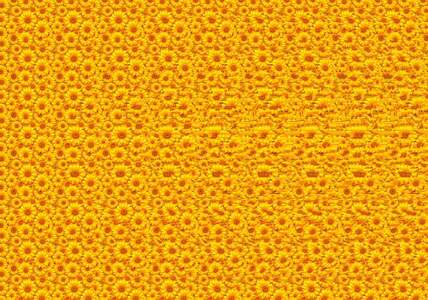 Golden Spiral Awakening autostereogram by Visual Enlightenment (practice image)