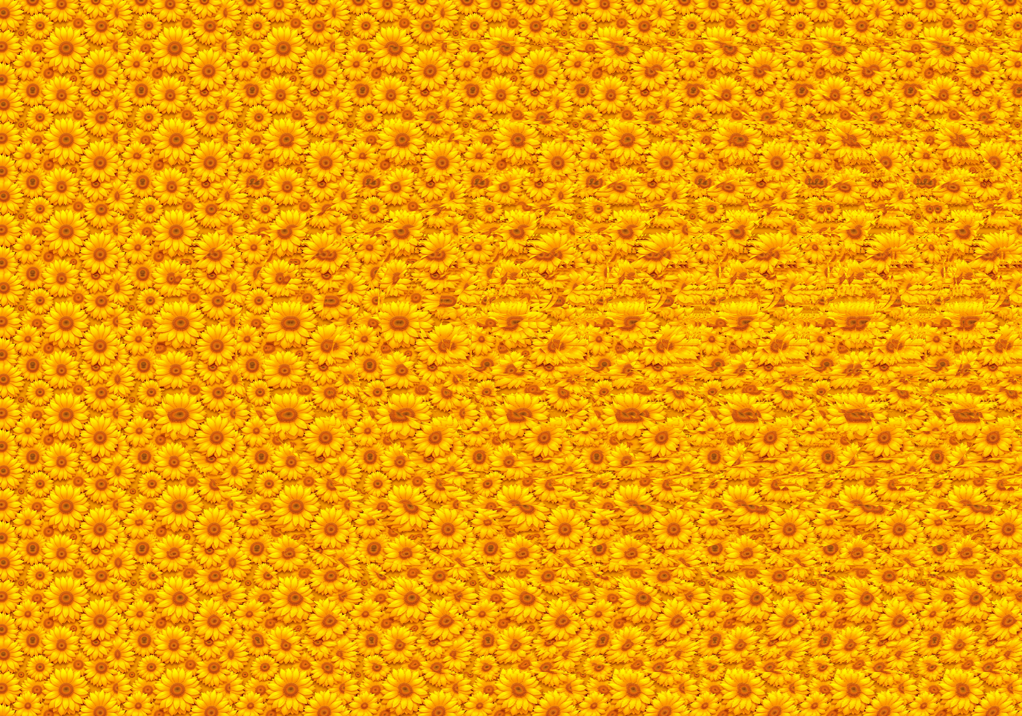 12ecc829-fa95-4648-a8c5-e5d060bb81dc