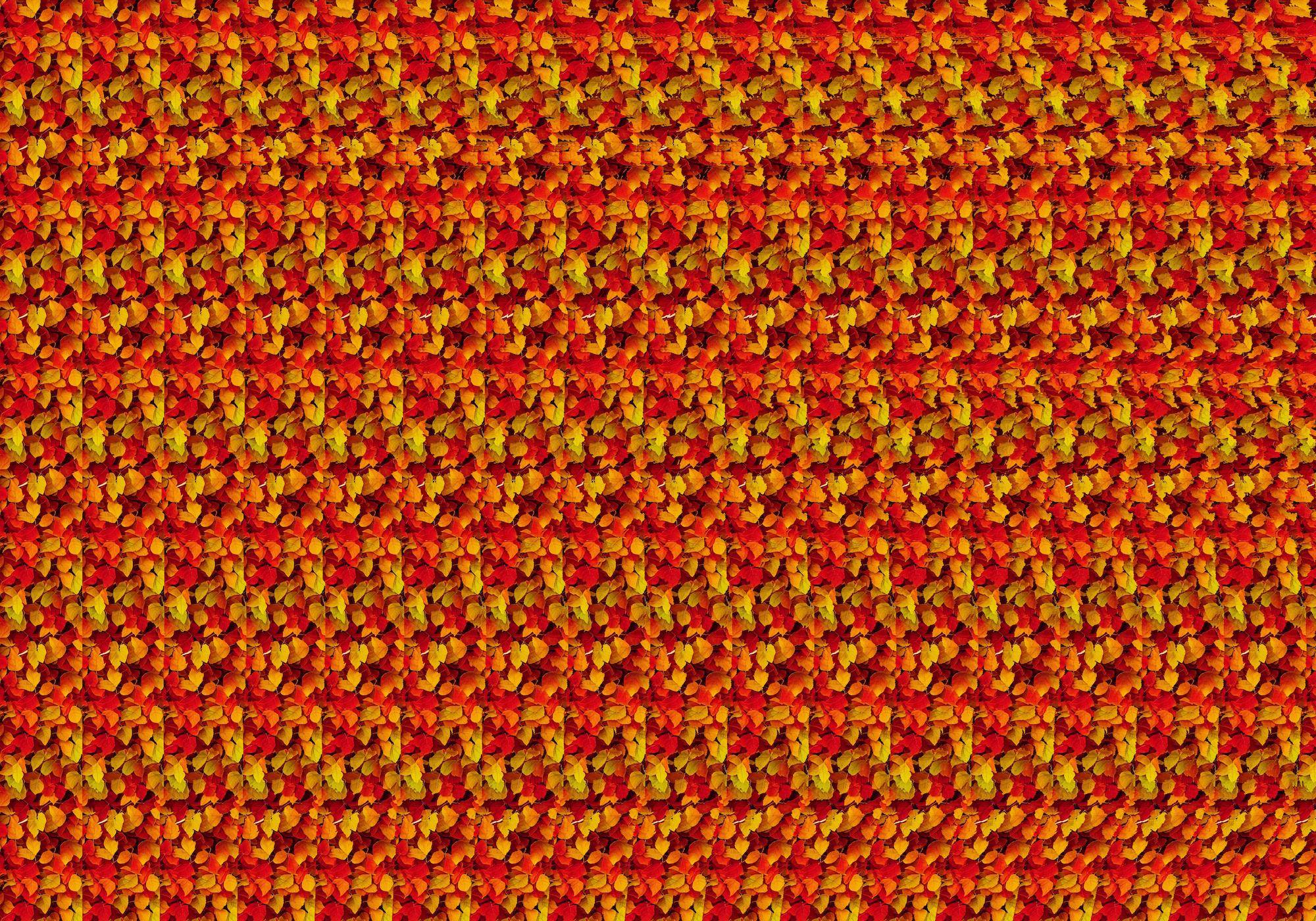 Hidden Canopy in Emberfall