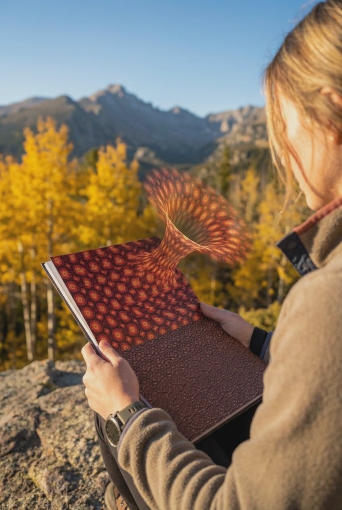 Visual Enlightenment: 3D Autostereograms for Visual Meditation